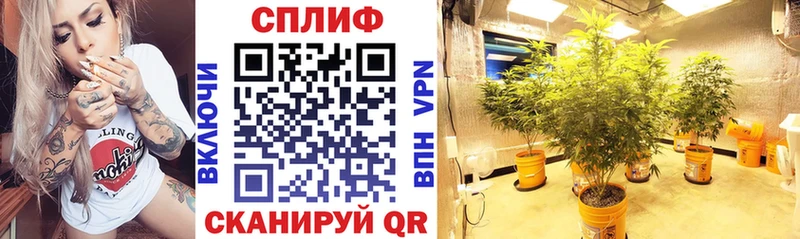 Что такое Павловская Гашиш Бошки Шишки Псилоцибиновые грибы СОЛЬ Мефедрон Cocaine