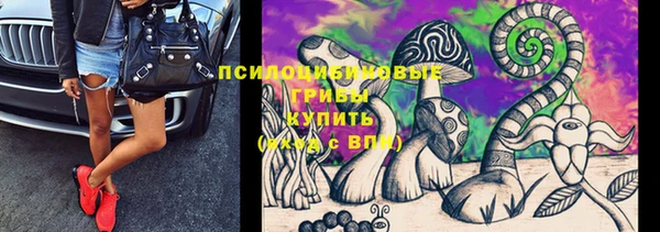 соль ск Алексеевка