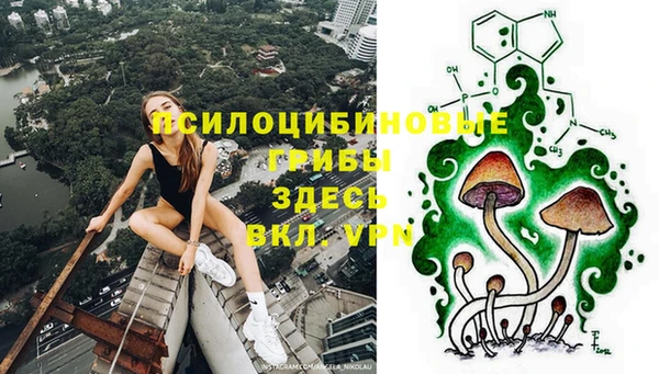 синтетический гашиш Алексин