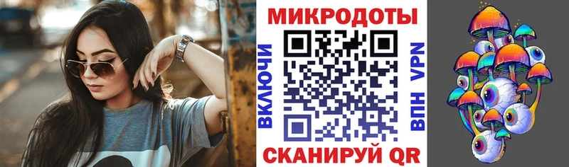 KRAKEN зеркало Павловская Псилоцибиновые грибы Magic Shrooms